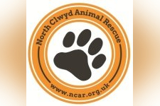 North Clwyd Animal rescue in Rhyl