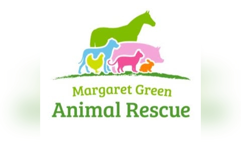 Weymouth Margaret Green Animal Rescue - Charity Shop in Weymouth
