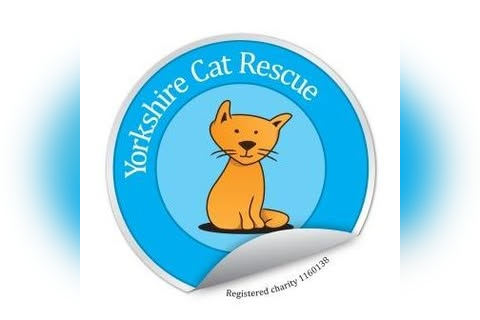 Yorkshire Cat Rescue Charity Shop in Halifax
