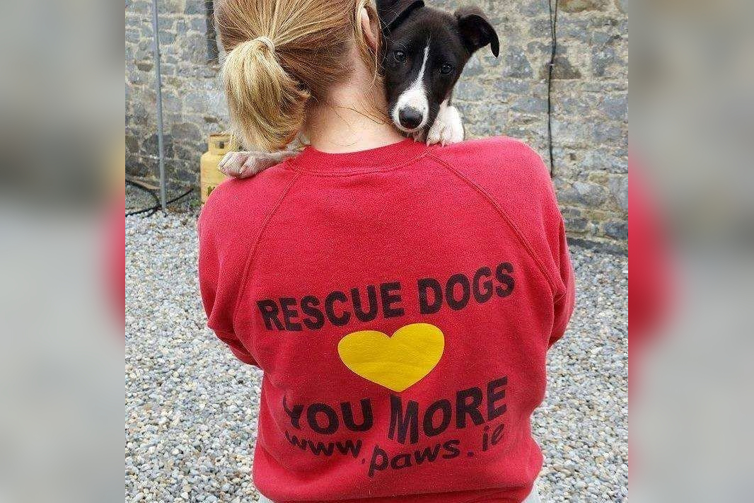 PAWS Animal Rescue in Mullinahone, Co. Tipperary