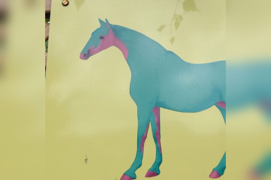 Painted Horse Antiques in Gairloch