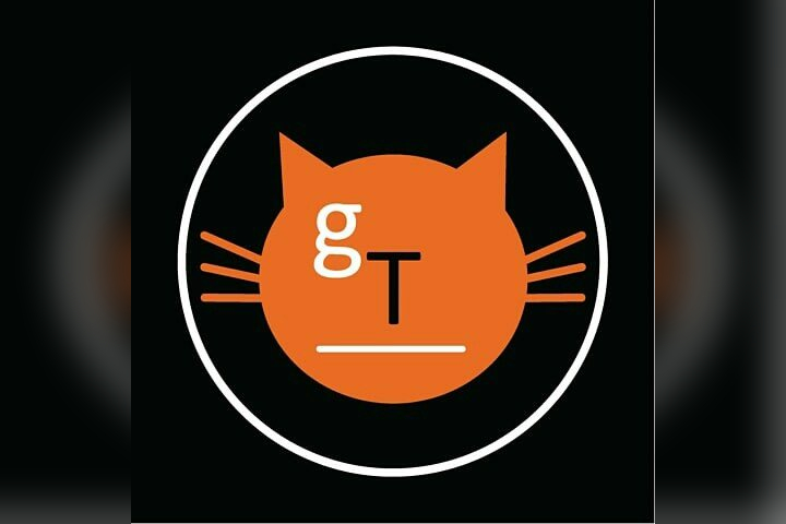 Ginger Tom's Curious Eclectic in Belper