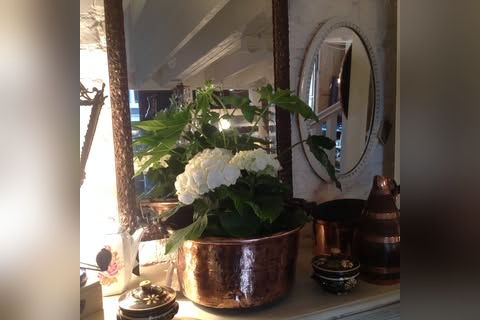 Antiquites Francaises in Newcastle upon Tyne