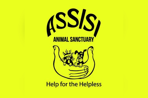 Assisi Animal Sanctuary in Belfast