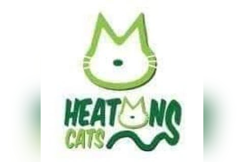 Heatons Cat Animal Rescue Group in Stockport
