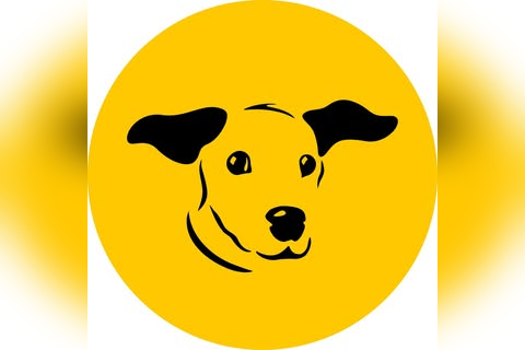 Dogs Trust in Winchester