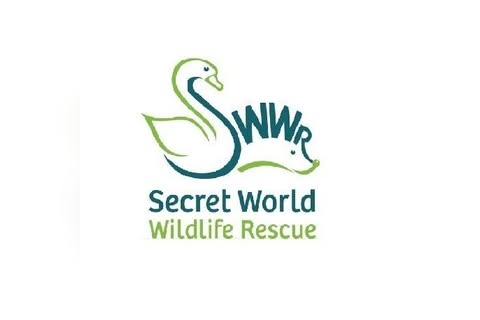 Secret World Wildlife Rescue Charity Shop in Glastonbury