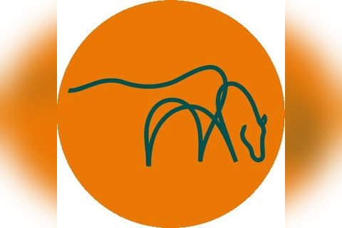 Mare and Foal Sanctuary Bovey Tracey in Newton Abbot