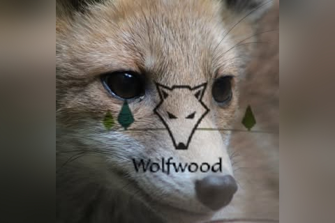 Wolfwood Wildlife & Dog Rescue in Morecambe