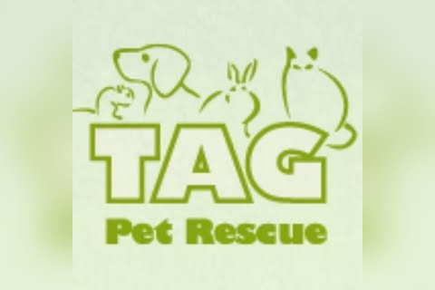 Tag Pet Rescue Centre in Ramsgate
