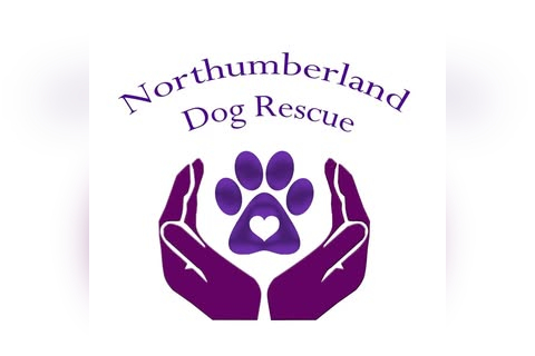 Northumberland Dog Rescue Charity Shop in Morpeth
