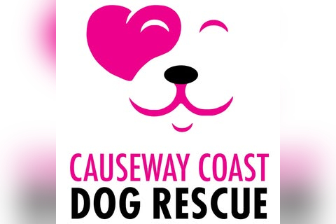 Causeway Coast Dog Rescue in Coleraine