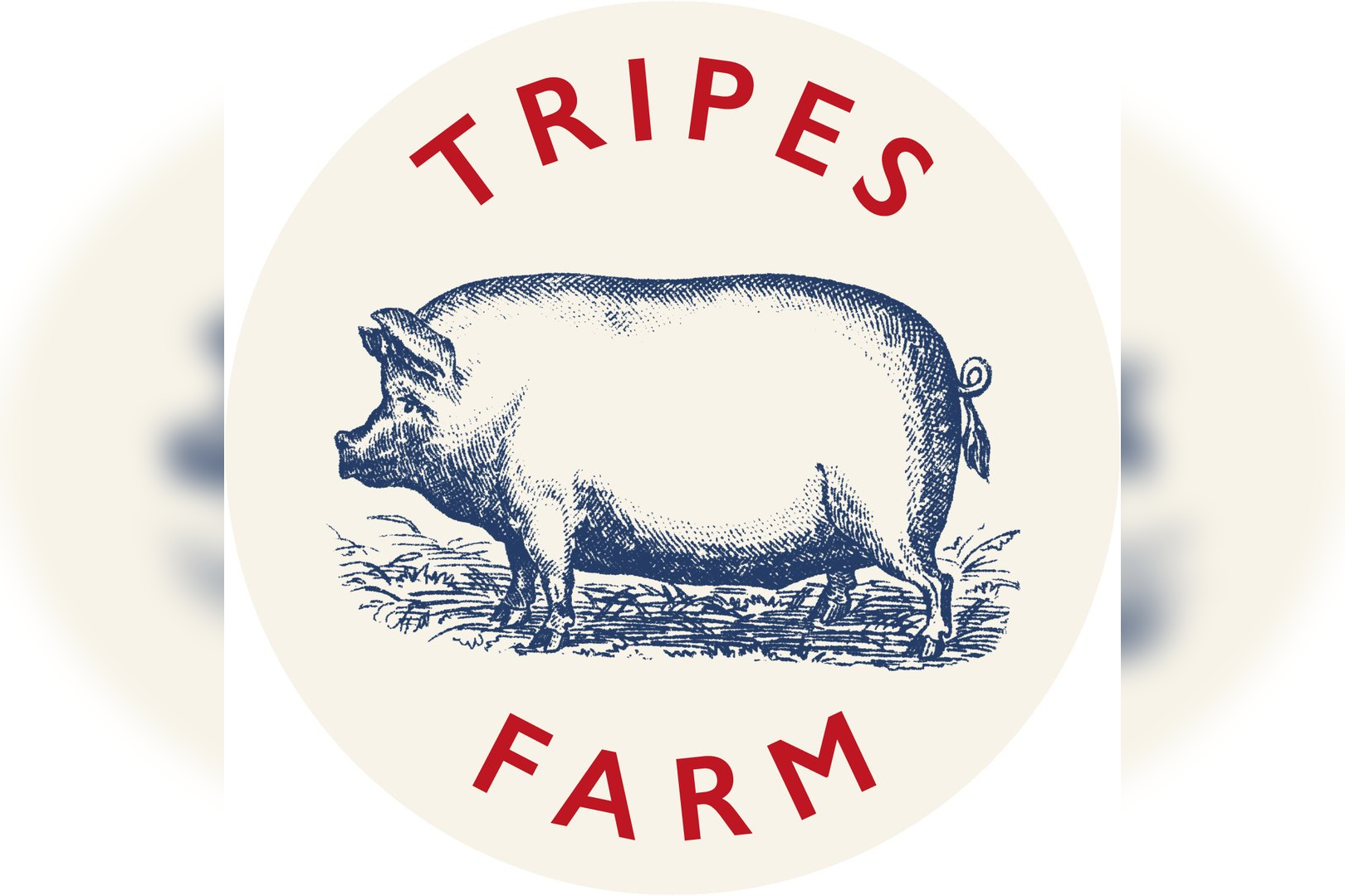 Tripes Farm Car Boot Sale in Orpington