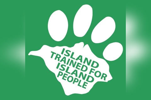 Ability Dogs 4 Young People in Newport