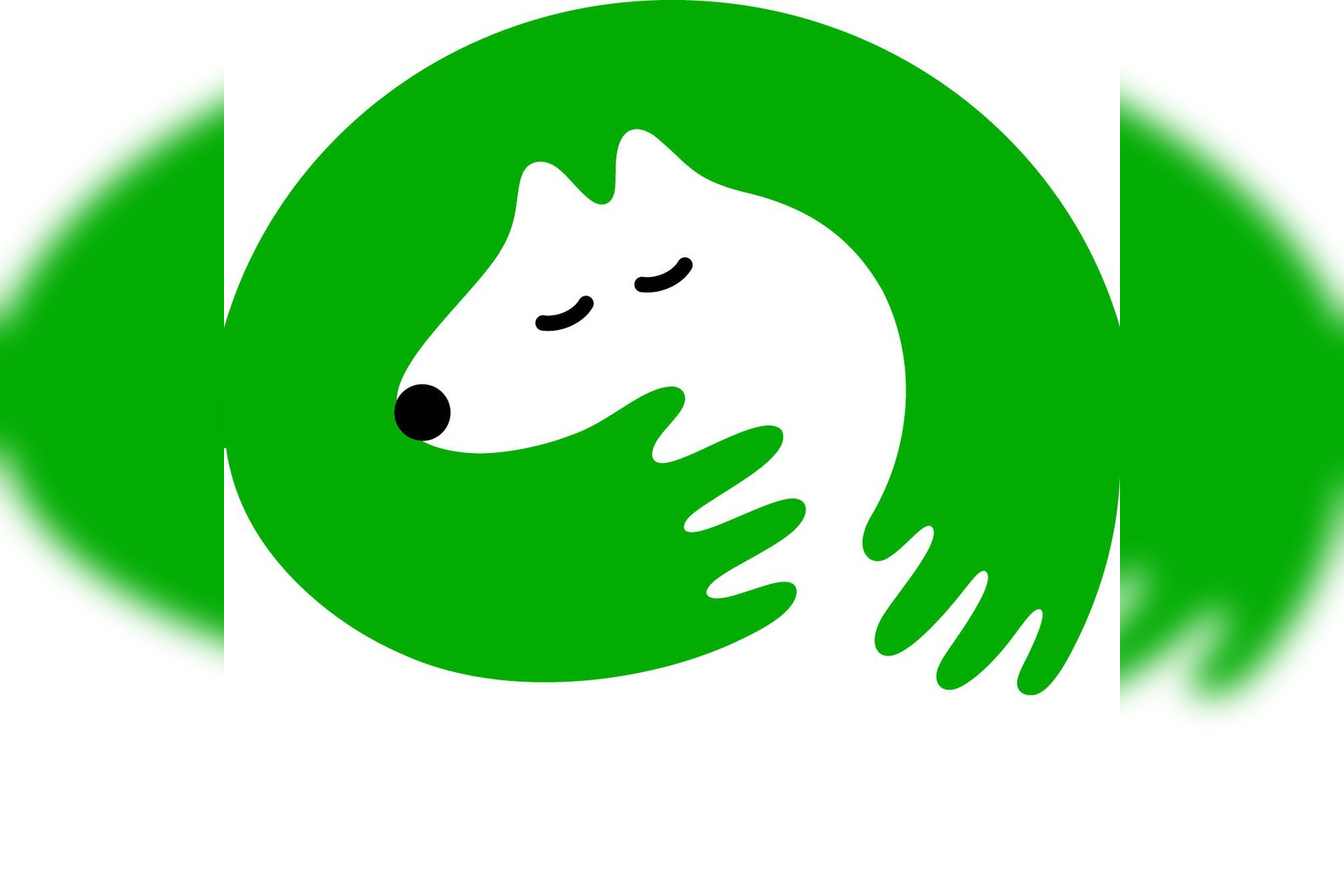Woodgreen Pets Charity in Cambridge