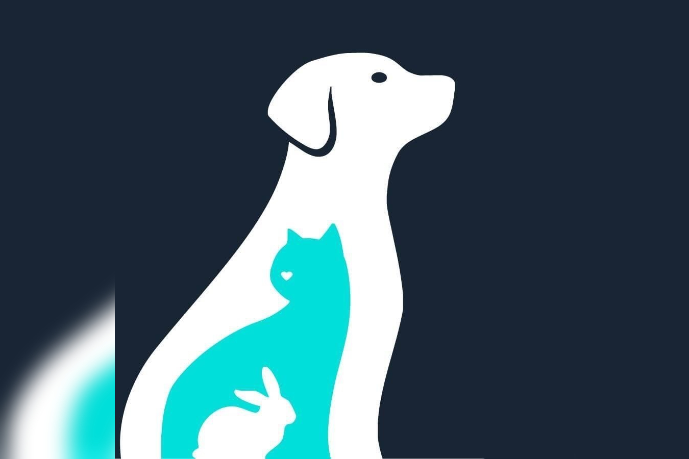 RSPCA in Sudbury