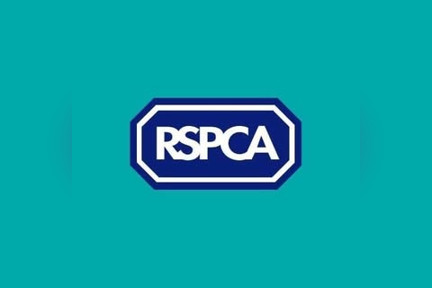 RSPCA in Haywards Heath