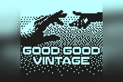 Good Good Vintage in Sheffield