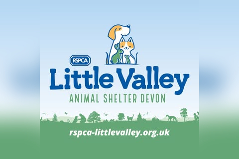 RSPCA Devon Charity Shop in Brixham