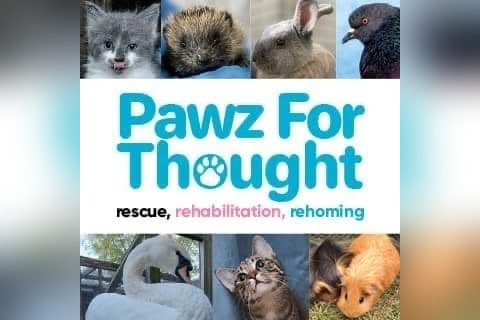 Pawz For Thought charity shop in Sunderland