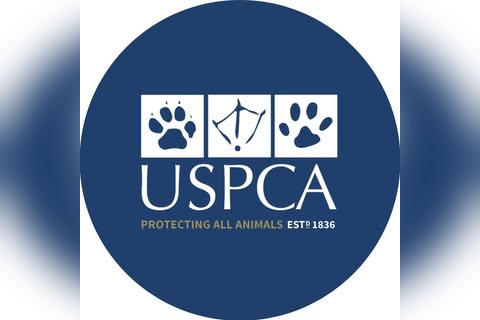 USPCA Charity Store in Craigavon