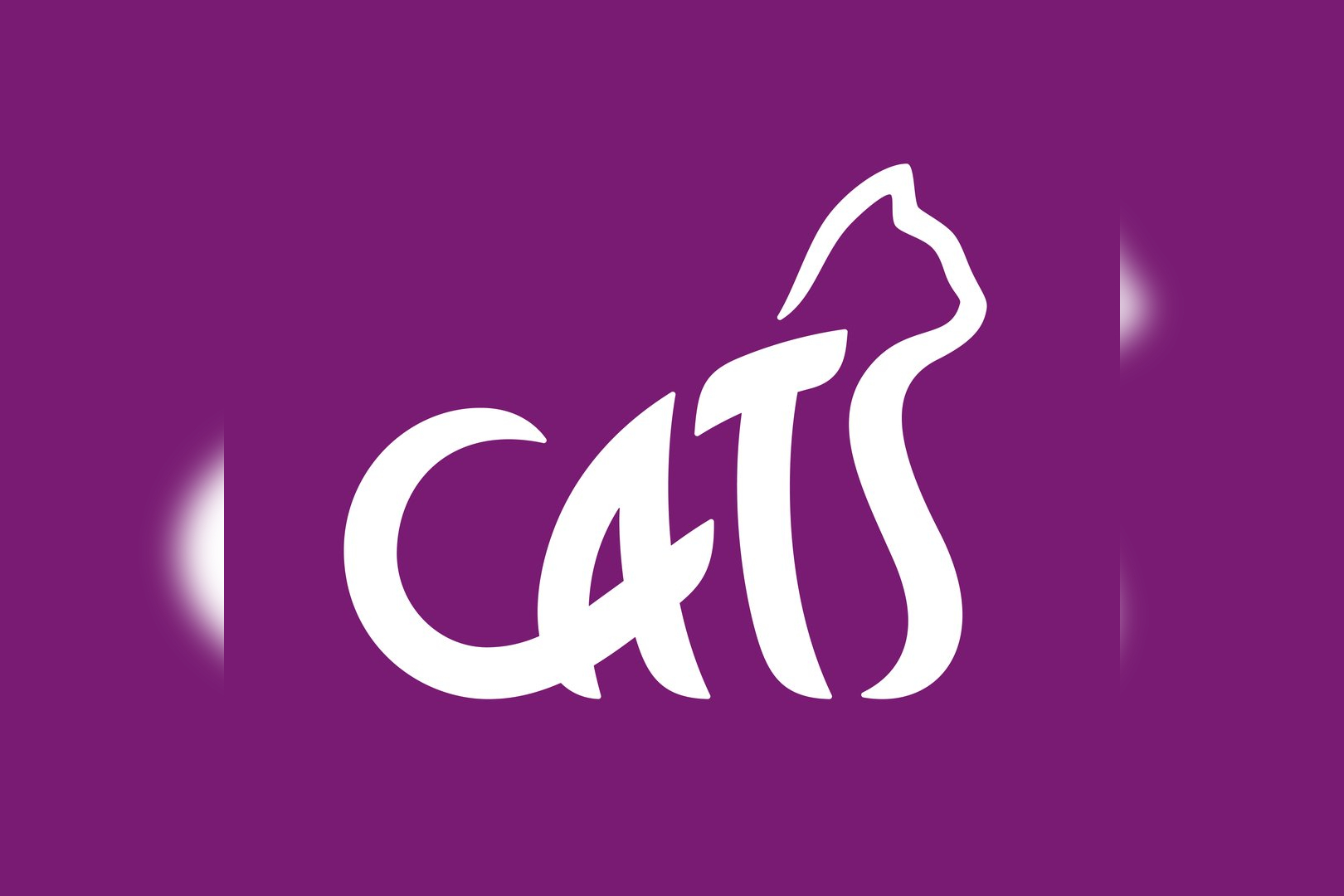 Cats Protection Charity Shop in Wellington