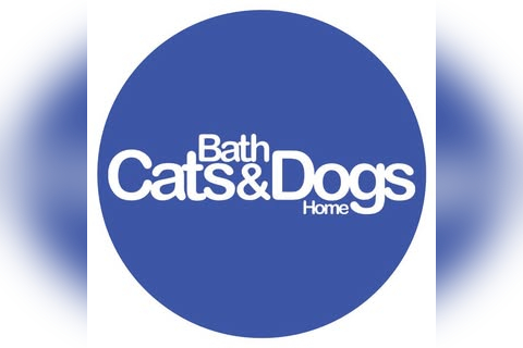 Bath Cats and Dogs Home in Trowbridge