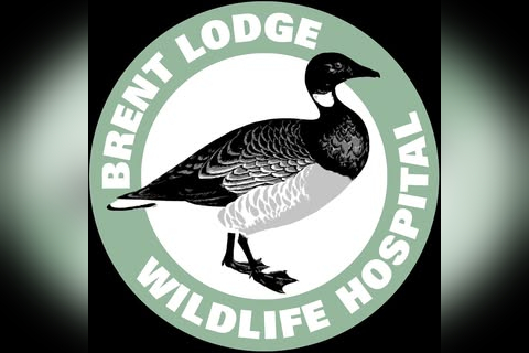 Brent Lodge Wildlife Shop in Worthing