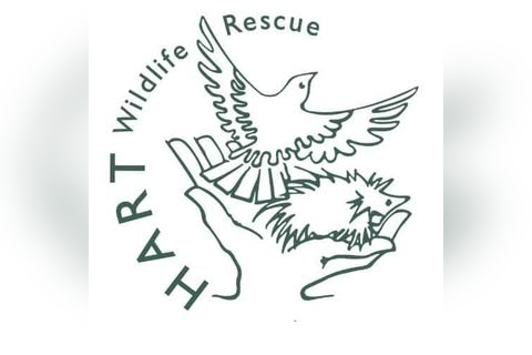 HART Wildlife Rescue Charity Shop in Alton