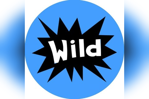 Wild Clothing in Nottingham