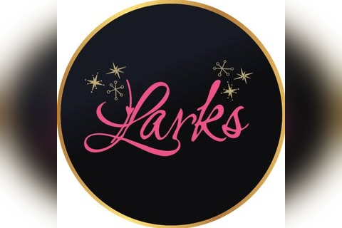 Larks in Liverpool
