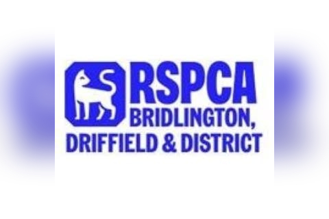 RSPCA Bridlington, Driffield & District Branch Shop in Bridlington