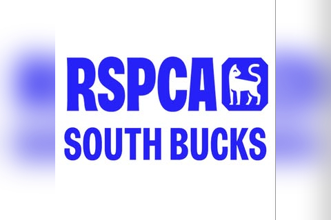 RSPCA Charity Shop Burnham in Slough