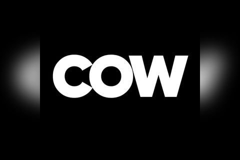 Cow Vintage in Birmingham