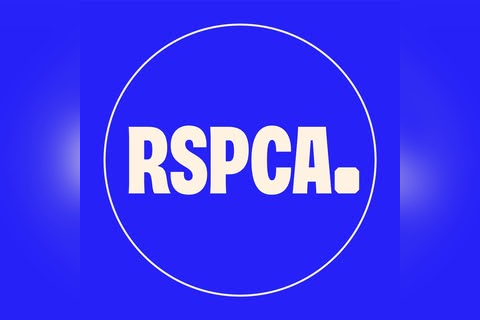 RSPCA Charity Shop (MK & North Bucks) in Newport Pagnell