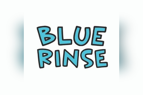 Blue Rinse Vintage in Cardiff