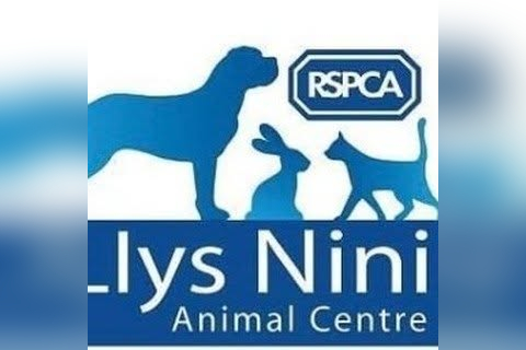 RSPCA Charity Shop - Aberconwy in Llandudno
