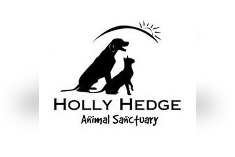 Holly Hedge Animal Sanctuary Charity Shop in Bristol