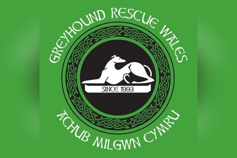 Greyhound Rescue Wales in Swansea