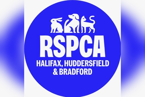 RSPCA in Bridport