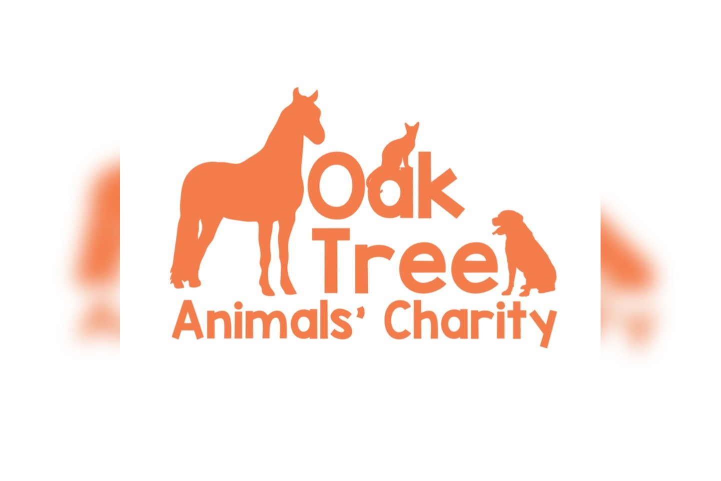 Oak Tree Animals' Charity Shop in Carlisle