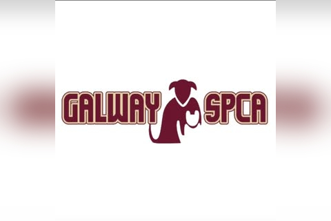 GSPCA Charity Shop in Galway