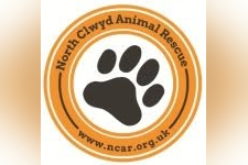 North Clwyd Animal Rescue in Abergele