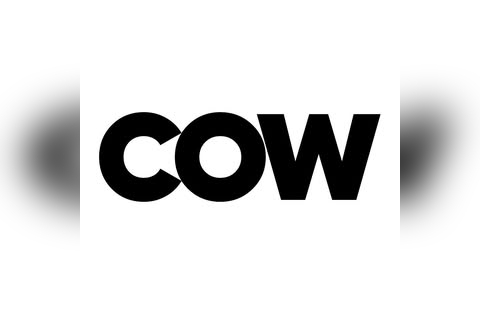 Cow in Nottingham