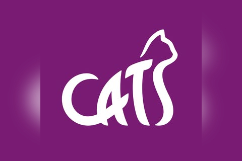 Cats Protection Charity Shop in Street