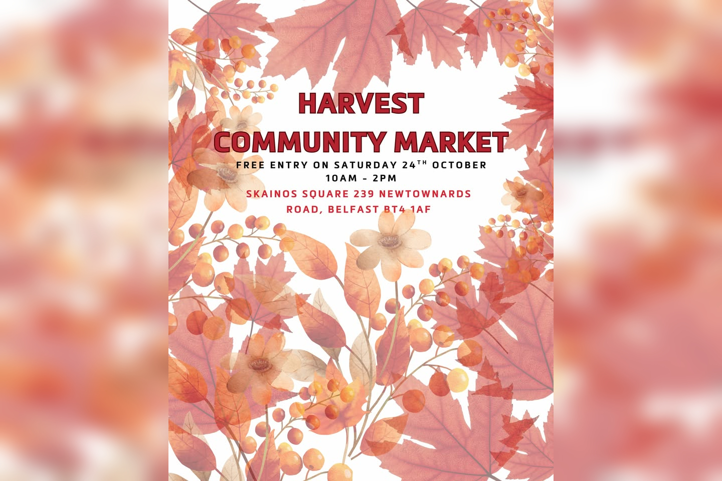 Harvest Community Market in Belfast