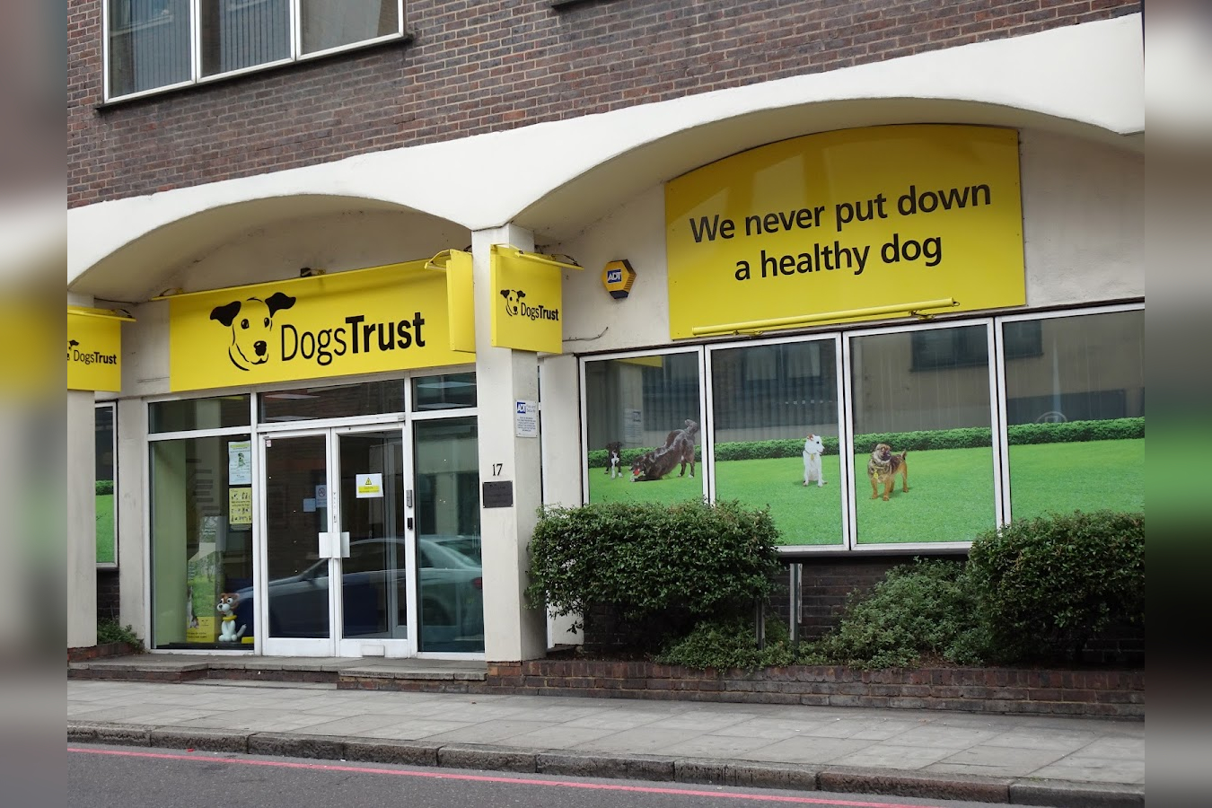Dogs Trust in England