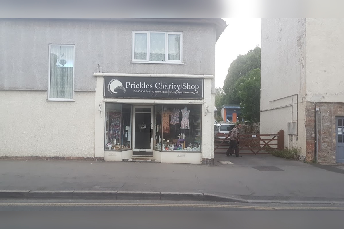 Prickles Charity Shop in Cheddar