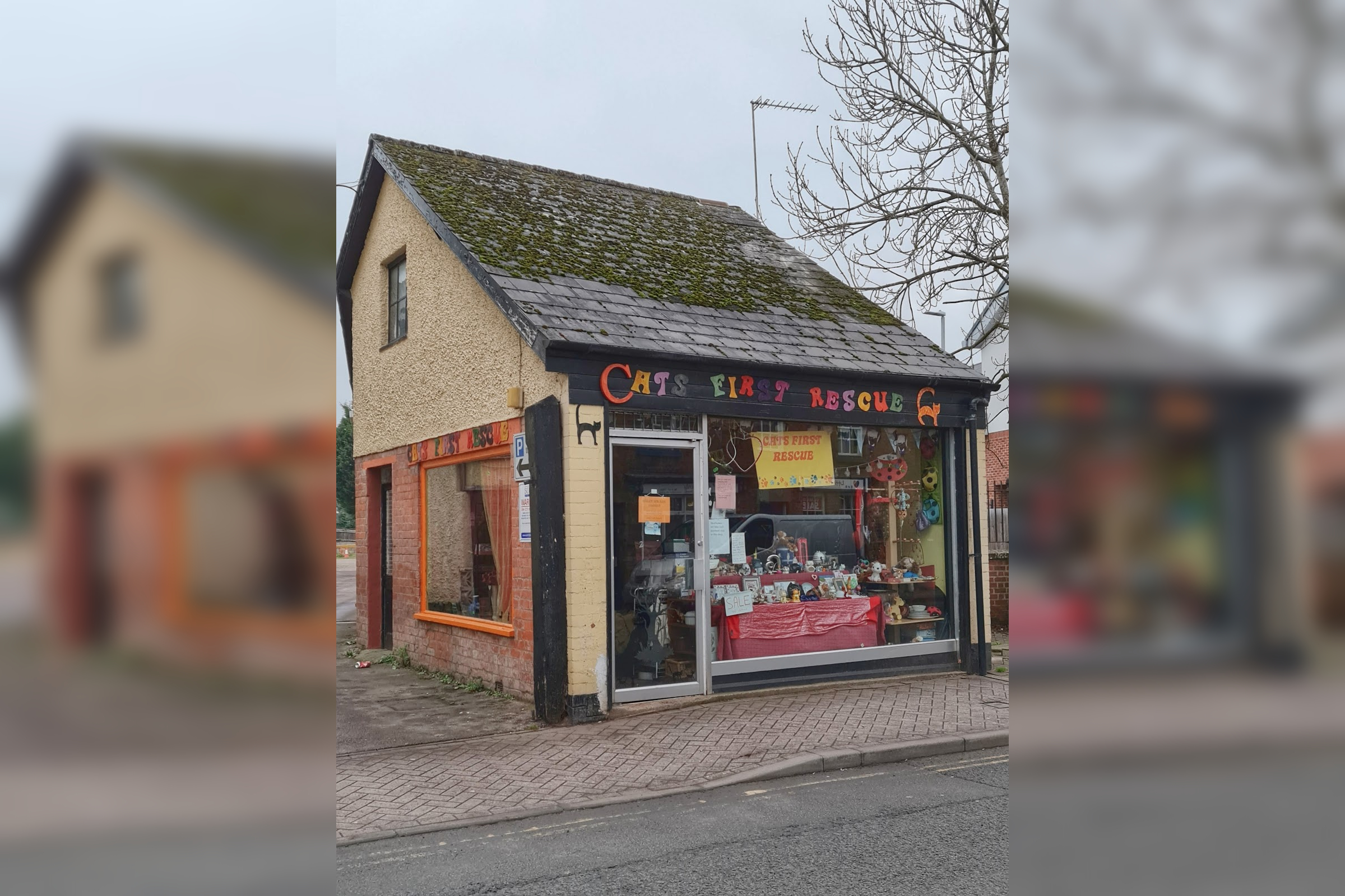 Cats First Rescue in Ross-on-Wye