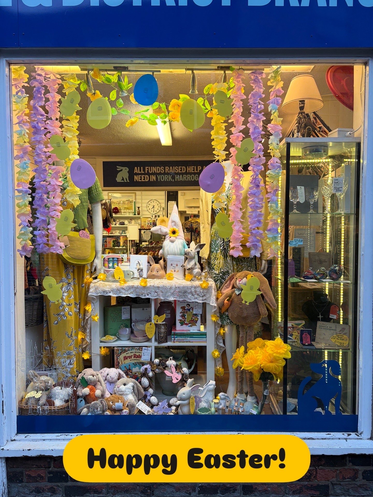 RSPCA Selby in Selby